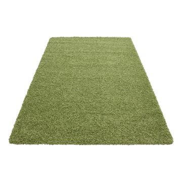 Dream Shaggy tapete pelo comprido retangular 120x170cm verde
