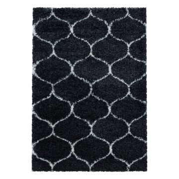 Salsa Shaggy tapete pelo comprido retangular 280x370cm antracite